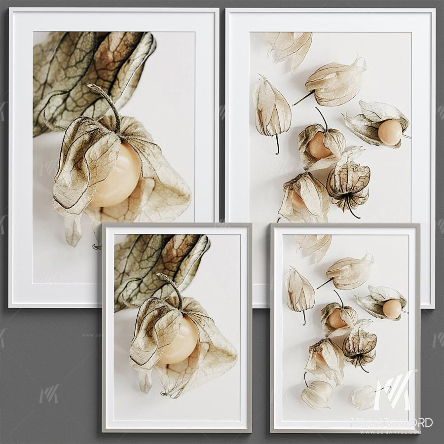 Framed Print P-204